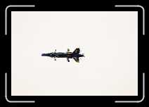 F-18 Hornet Blue Angels (2) 1020 * 1840 x 1232 * (231KB)